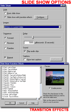 acdsee_slide_show_options.gif (15905 bytes)