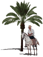 render_landscape_man-on-horse.gif (12184 bytes)