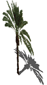 render_landscape_palm.gif (7316 bytes)