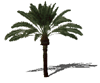 render_landscape_palm_align.gif (4021 bytes)