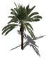 render_landscape_palm_cross.gif (3626 bytes)