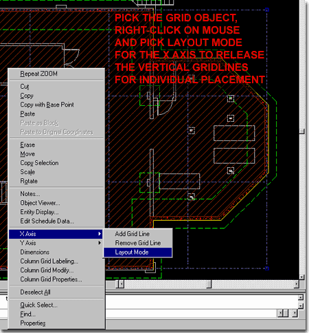 level_1_foundation_edit_grid.gif (37969 bytes)